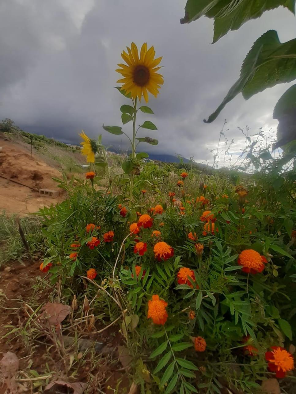 Finca De Luna ลาโอโรตาวา ภายนอก รูปภาพ