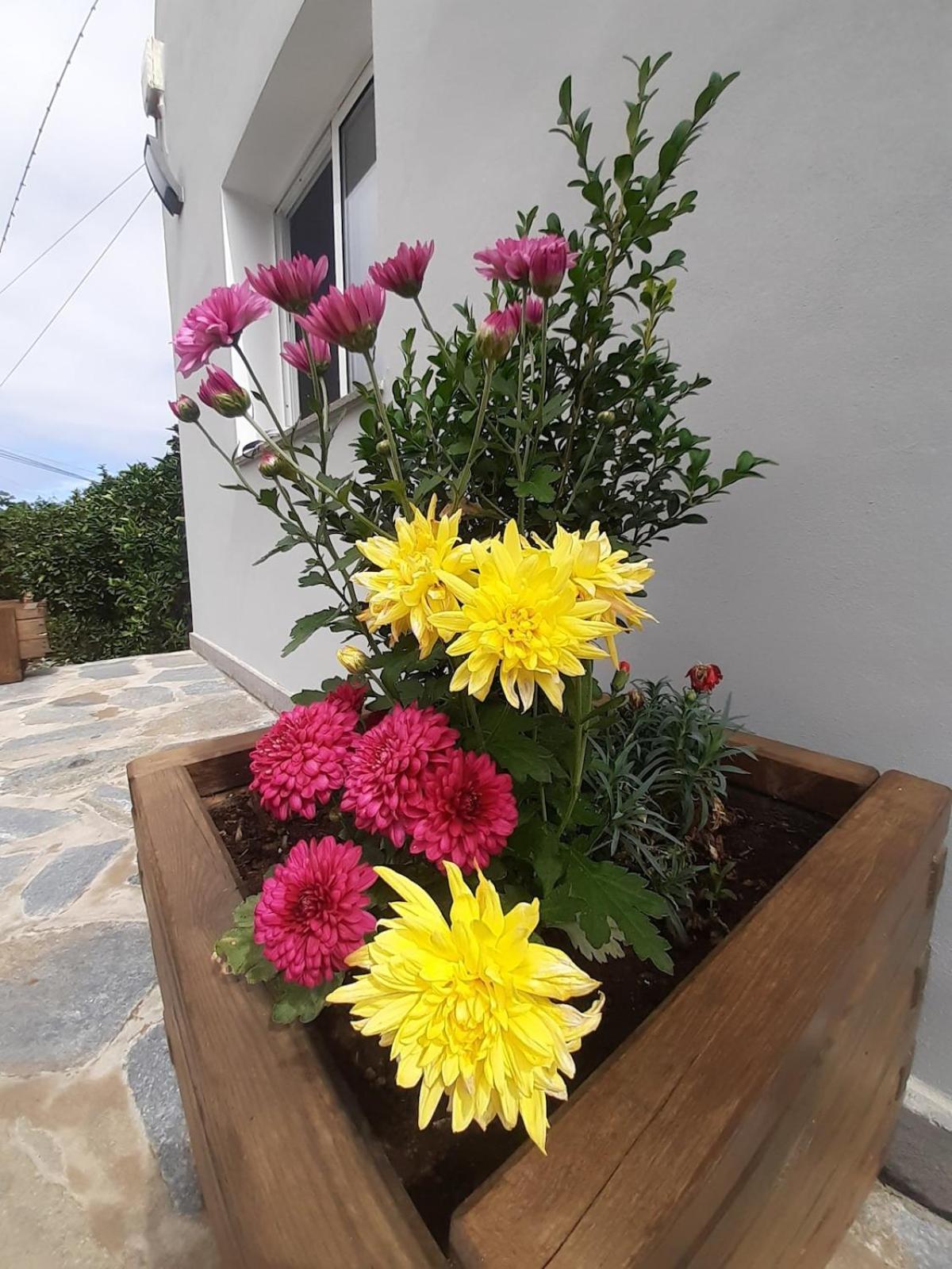 Finca De Luna ลาโอโรตาวา ภายนอก รูปภาพ